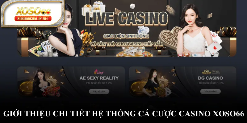 Giới thiệu chi tiết hệ thống cá cược casino XOSO66 Giới thiệu chi tiết hệ thống cá cược casino XOSO66