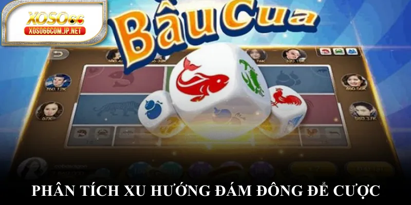 Phân tích xu hướng đám đông để cược Phân tích xu hướng đám đông để cược